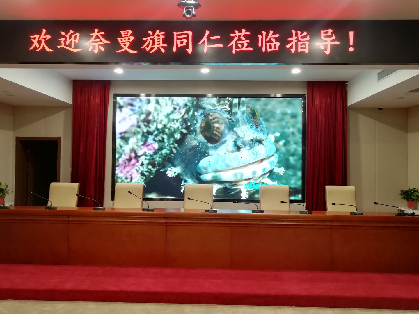 市委组织部